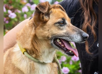 Sunny – eine selbstbewusste Dame