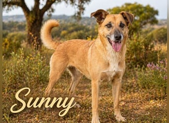 Sunny – eine selbstbewusste Dame