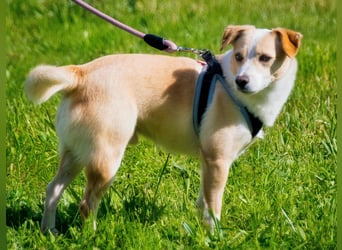 Dakar - ein sanfter Schatz