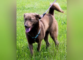 Amendoa - ein kesses Mädchen