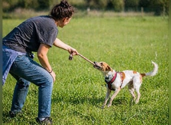 Amigo - möchte wieder dazugehören