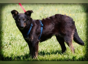 Amora - eine liebe Seele