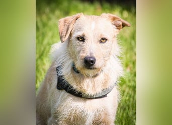 Patrick - auf dem Weg ins Vertrauen