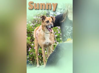 Sunny – eine selbstbewusste Dame