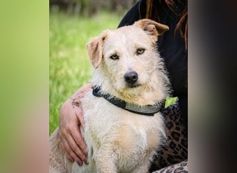 Patrick - auf dem Weg ins Vertrauen