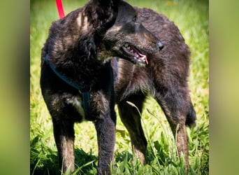 Amora - eine liebe Seele