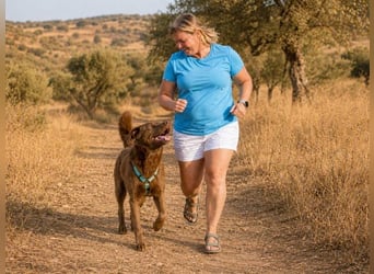 Amendoa - ein kesses Mädchen