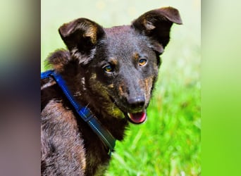 Amora - eine liebe Seele