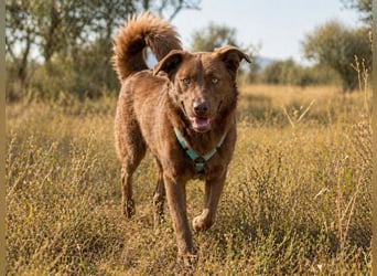 Amendoa - ein kesses Mädchen