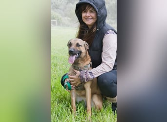 Sweet – junger Wirbelwind mit Herz