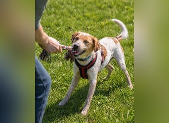 Amigo - möchte wieder dazugehören