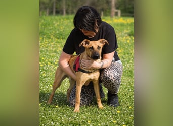 Delano - voller Charme und Lebensfreude