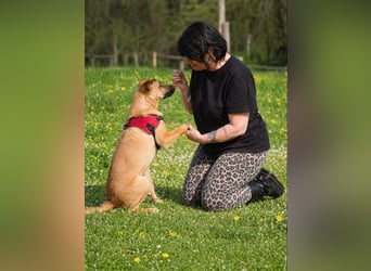 Delano - voller Charme und Lebensfreude