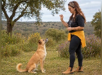 Sunny – eine selbstbewusste Dame