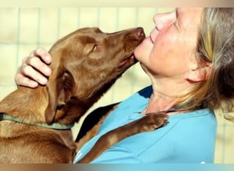 Amendoa - ein kesses Mädchen