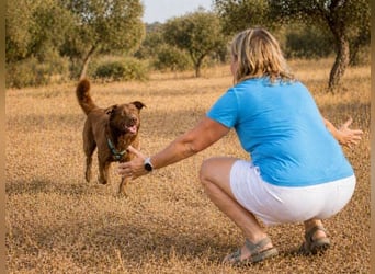 Amendoa - ein kesses Mädchen