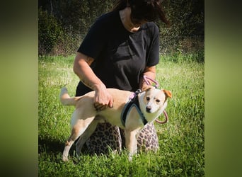 Dakar - ein sanfter Schatz