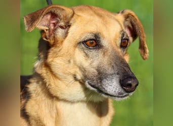 Sunny – eine selbstbewusste Dame