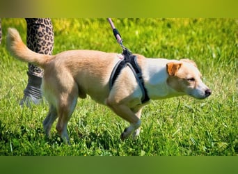 Dakar - ein sanfter Schatz