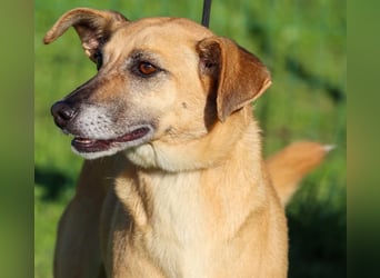 Sunny – eine selbstbewusste Dame