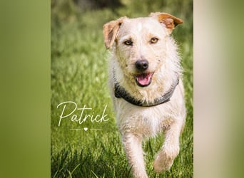 Patrick - auf dem Weg ins Vertrauen