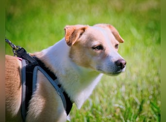 Dakar - ein sanfter Schatz