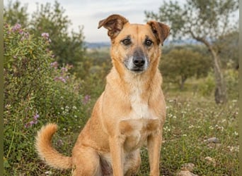 Sunny – eine selbstbewusste Dame