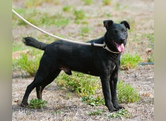 Matteus – ein sanfter Begleiter