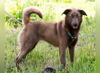 Amendoa - ein kesses Mädchen