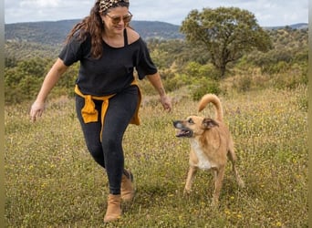 Sunny – eine selbstbewusste Dame