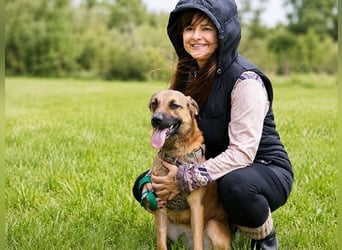 Sweet – fröhlicher Jungspund sucht seine Menschen