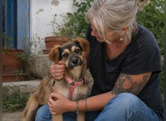 Lilly - einfach zum Verlieben