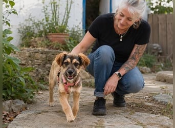 Lilly - einfach zum Verlieben