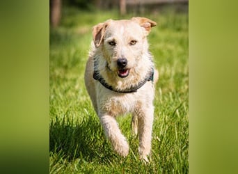 Patrick - auf dem Weg ins Vertrauen