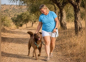 Amendoa - ein kesses Mädchen