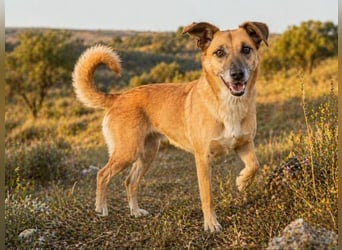 Sunny – eine selbstbewusste Dame