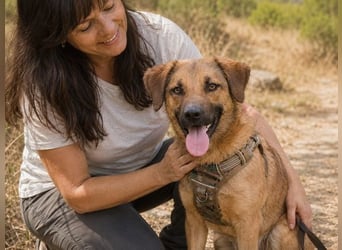Sweet – fröhlicher Jungspund sucht seine Menschen