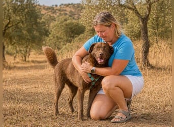 Amendoa - ein kesses Mädchen