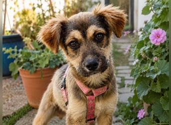 Lilly - einfach zum Verlieben