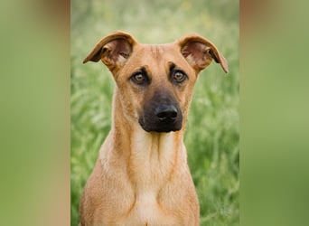 Delano - voller Charme und Lebensfreude