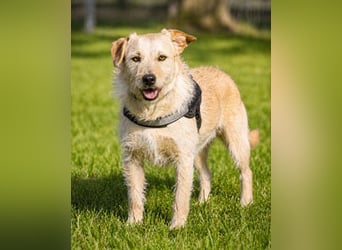 Patrick - auf dem Weg ins Vertrauen