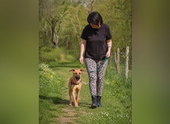 Delano - voller Charme und Lebensfreude