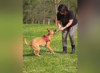 Delano - voller Charme und Lebensfreude