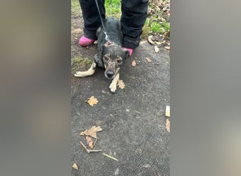 Gigi sucht ihre Herzensmenschen