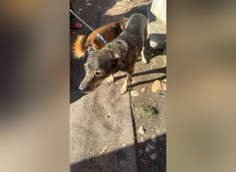 Gigi sucht ihre Herzensmenschen