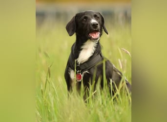 Tinella sucht liebevolle Familie...