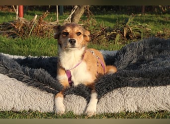 Alea möchte ihr Herz verschenken...