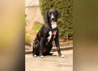 Tinella sucht liebevolle Familie...