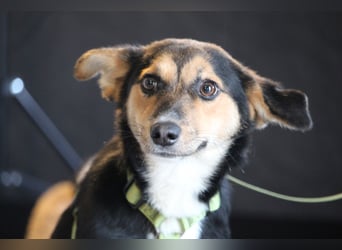 Dorino sucht sein Glück...