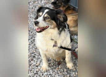Lola unsere hübsche Dame...